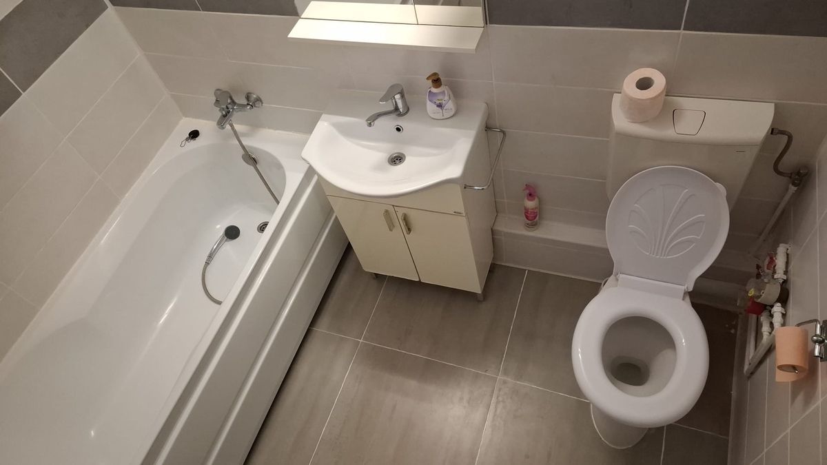 Apartament 2 camere de inchiriat sebastian petre ispirescu - Poză 3