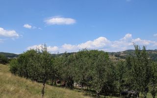 Fabrică de cherestea | Câmpeni | teren 8.000 mp - Poză 1