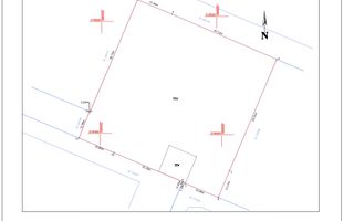 Teren intravilan 3996 mp - Danubiana - Popesti Leordeni - Poză 2