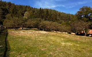 Teren Moieciu 8206 mp - Oportunitate de investitie - Poză 12