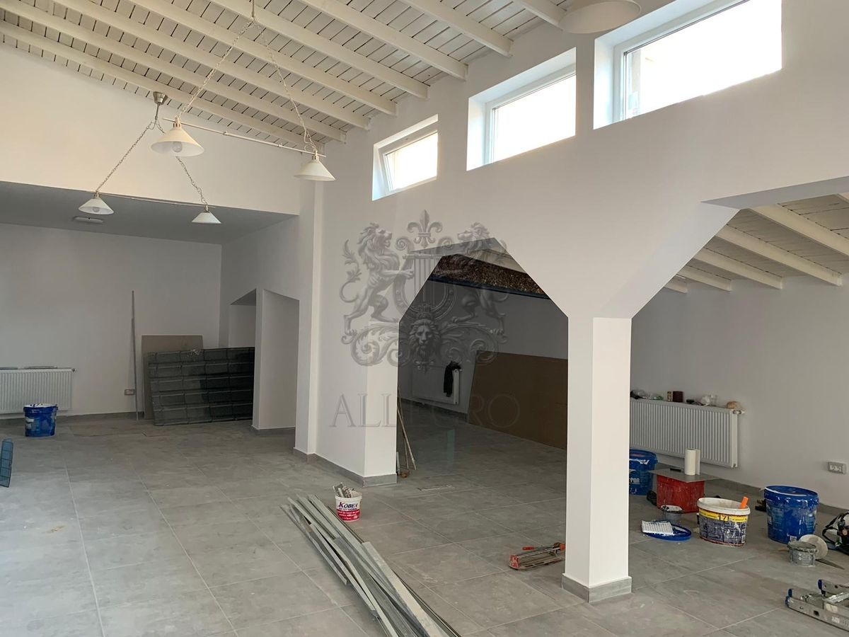 Casa Individuala | Vasile Lascar - Eminescu | 355 mp utili | 9 Camere - Poză 18