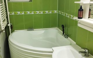 Garsoniera Colentina - Parc Plumbuita - Rascoala 1907 - 1800 RON - Poză 10