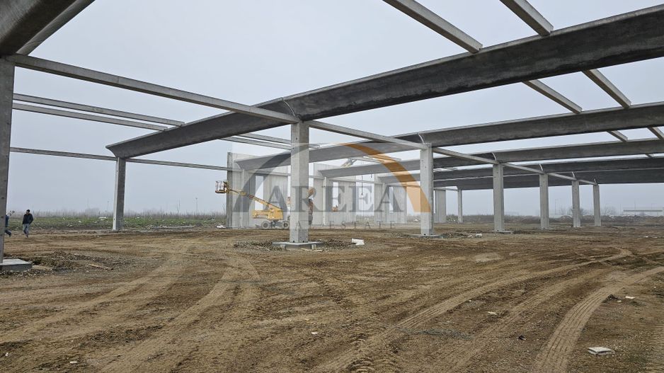Vanzare hale/depozite/productie -industrial-Chitila - Rudeni, ILFOV - Poză 17