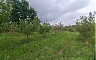 TEREN 20.621 MP CAMPULUNG - Poză 5