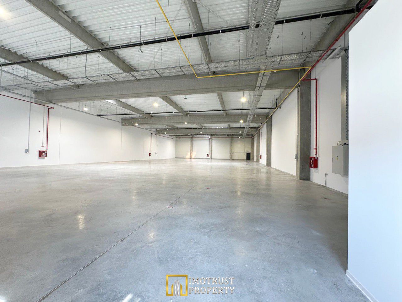 Hala industriala moderna – 1.162,05 mp depozit | Arad - Poză 3