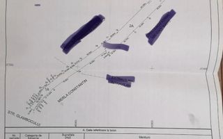 TEREN INTRAVILAN 2340 MP + TEREN EXTRAVILAN 9015 MP IN COM. BASCOV - Poză 1