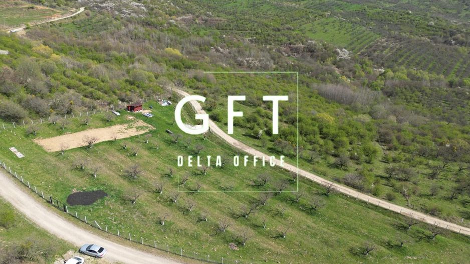 Teren 4850 mp - EXTRAVILAN - Slatinita - Poză 4