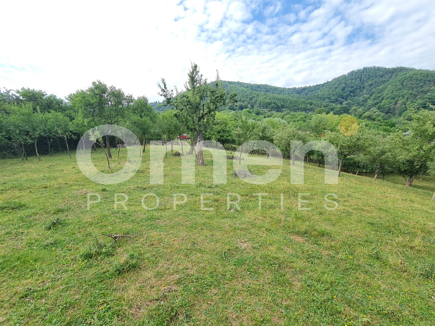 Teren de vânzare | Suprafață 10.040 mp | 2.500 € / ar | Strada Nucului - Poză 7