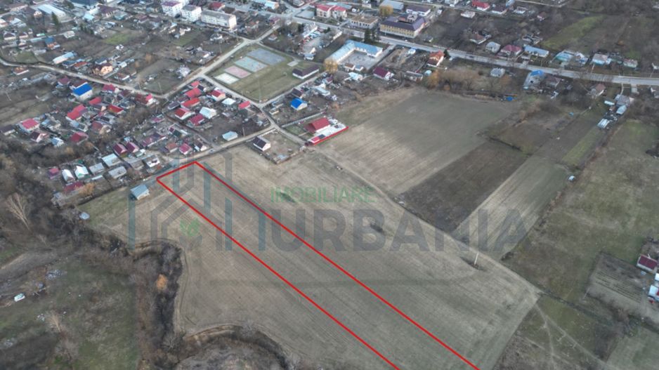 Teren Intravilan 5300 m2 - Poză 3