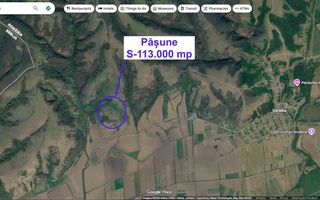 Pășune 11,3 ha – Vărădia, Caraș-Severin – 6.000 €/ha - Poză 1