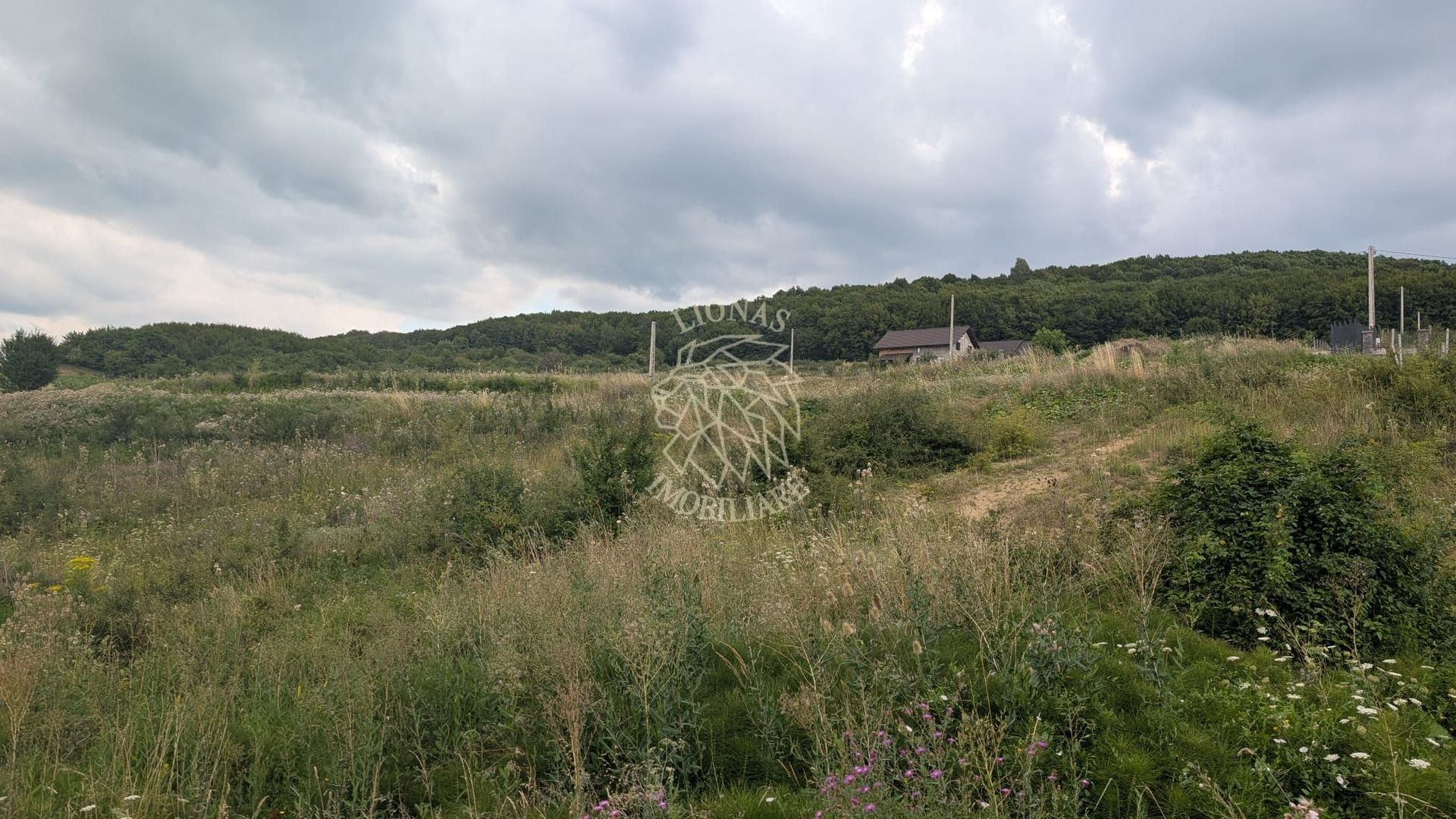 Teren 1000 mp cu utilitati-ideal casa, cabana, investitie-Dealul Jelnei - Poză 5