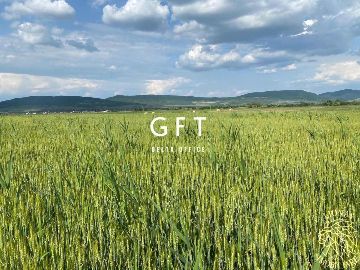 Teren -4.300 mp - Arabil - Chintelnic - Poză 2