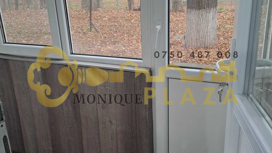 3 Camere | Zona ultracentrala | Parter | Beci | 2 intrari | Mobilat | - Poză 5