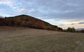 Teren de vânzare 5.000 mp | Poplaca | lângă pădure - Poză 4