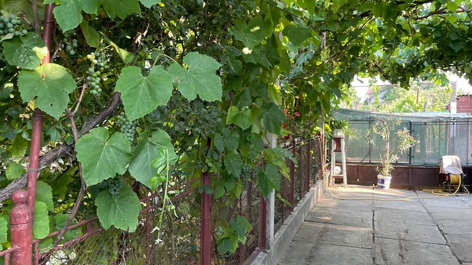 Casa parter 35 km de la Timisoara - Poză 6