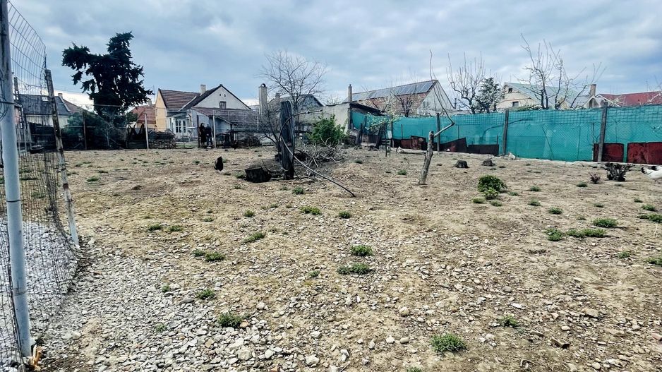 Teren cu Utilități pe Parcelă – Episcopia, 550 mp - Poză 3