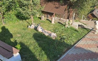 Pensiune 10 camere cu restaurant // Moieciu de Jos - Poză 8