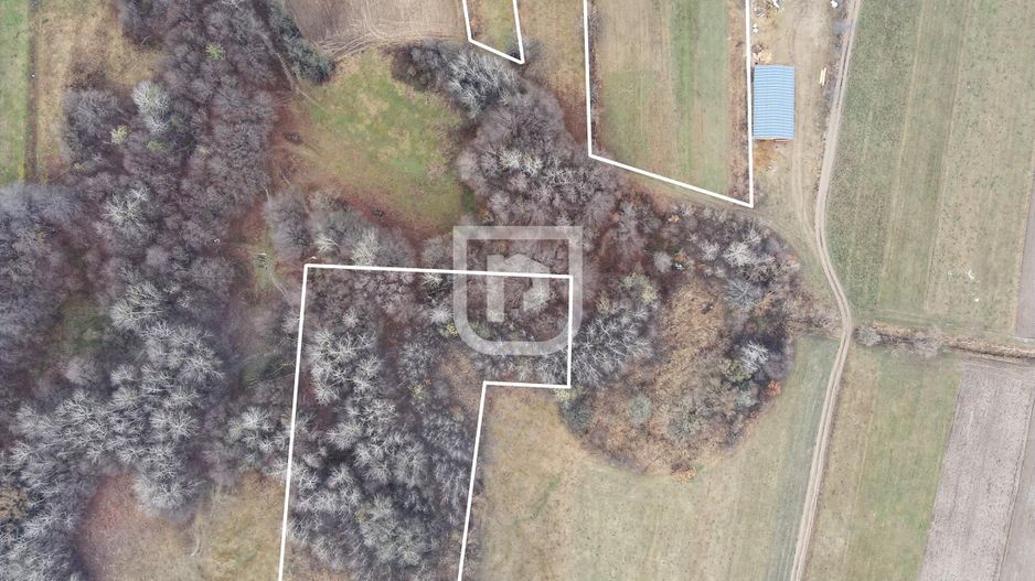 Casa traditionala la tara cu livada | Poieni-Solca - Poză 1