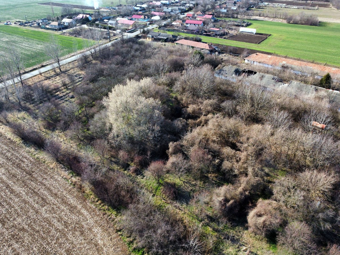 Ferma si livada de meri in judetul Ilfov - Poză 5