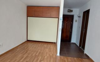 Vanzare garsoniera conf 2, Teiul Doamnei, Lacul Tei - Poză 7