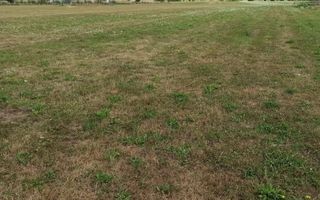 Teren intravilan 5217 mp cu utilitati-ideal case-Livezile - Poză 2