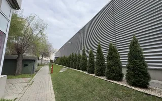 Vânzare/Inchiriere Spațiu Comercial 145,55 mp, Zona Kaufland - Carei - Poză 21