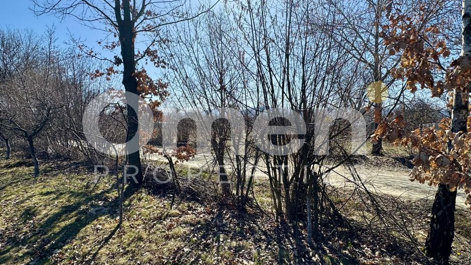 Teren intravilan | Berința | 5800 mp - Poză 7