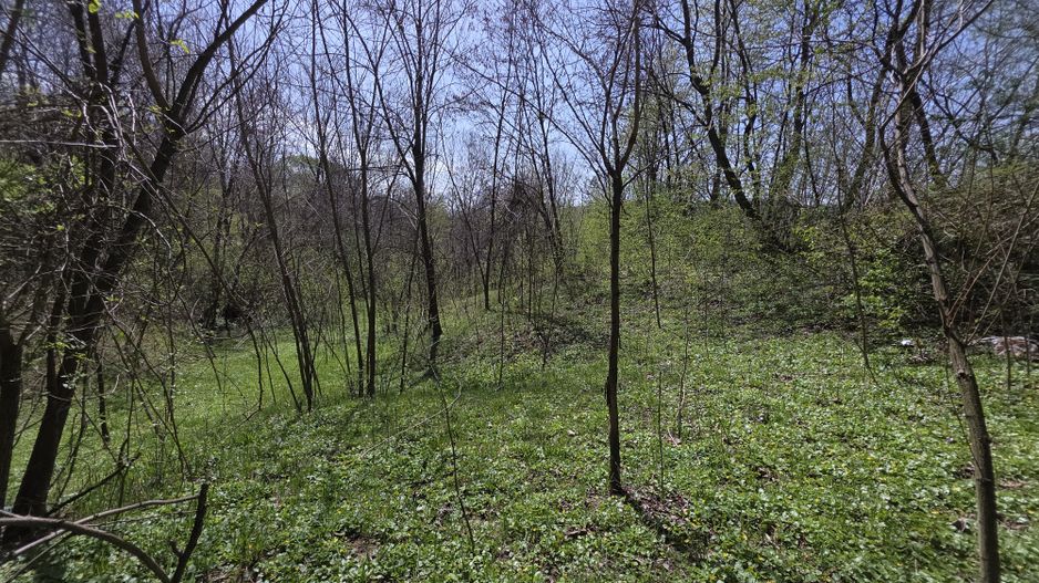 Investitie sigura! Teren foarte bine pozitionat in Brebu, Prahova - Poză 9