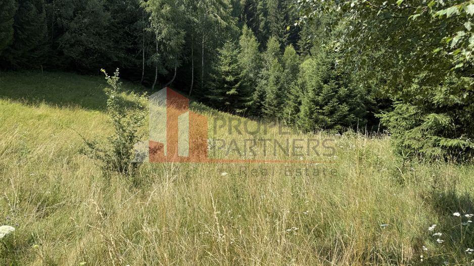 Teren de vânzare – Bran, sat Poarta - Poză 5