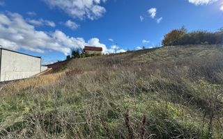 Teren intravilan de vanzare, Micesti - Poză 5