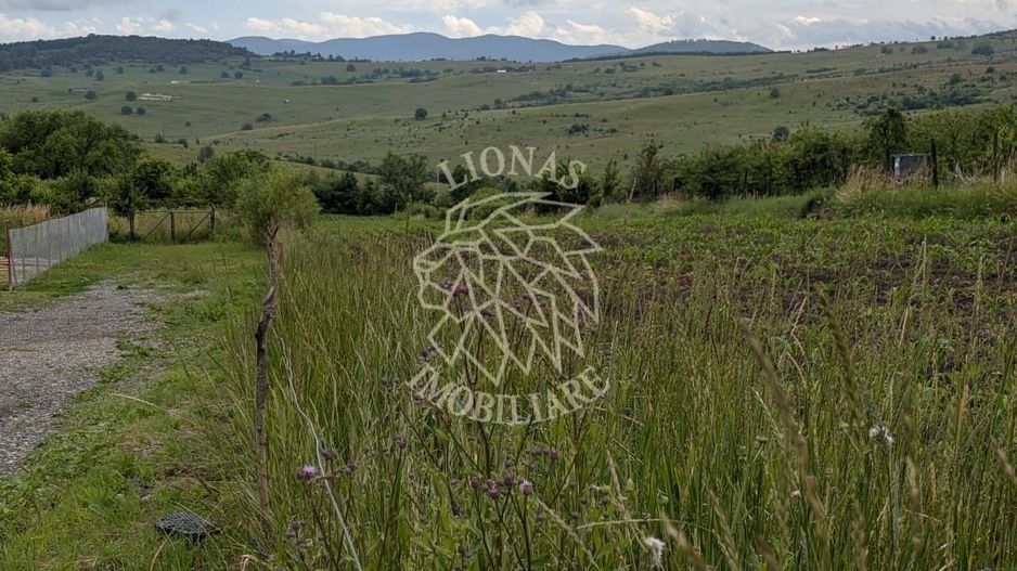 COMISION 0% Teren 3004 mp cu utilitati-cota drum-Dealul Budacului - Poză 5
