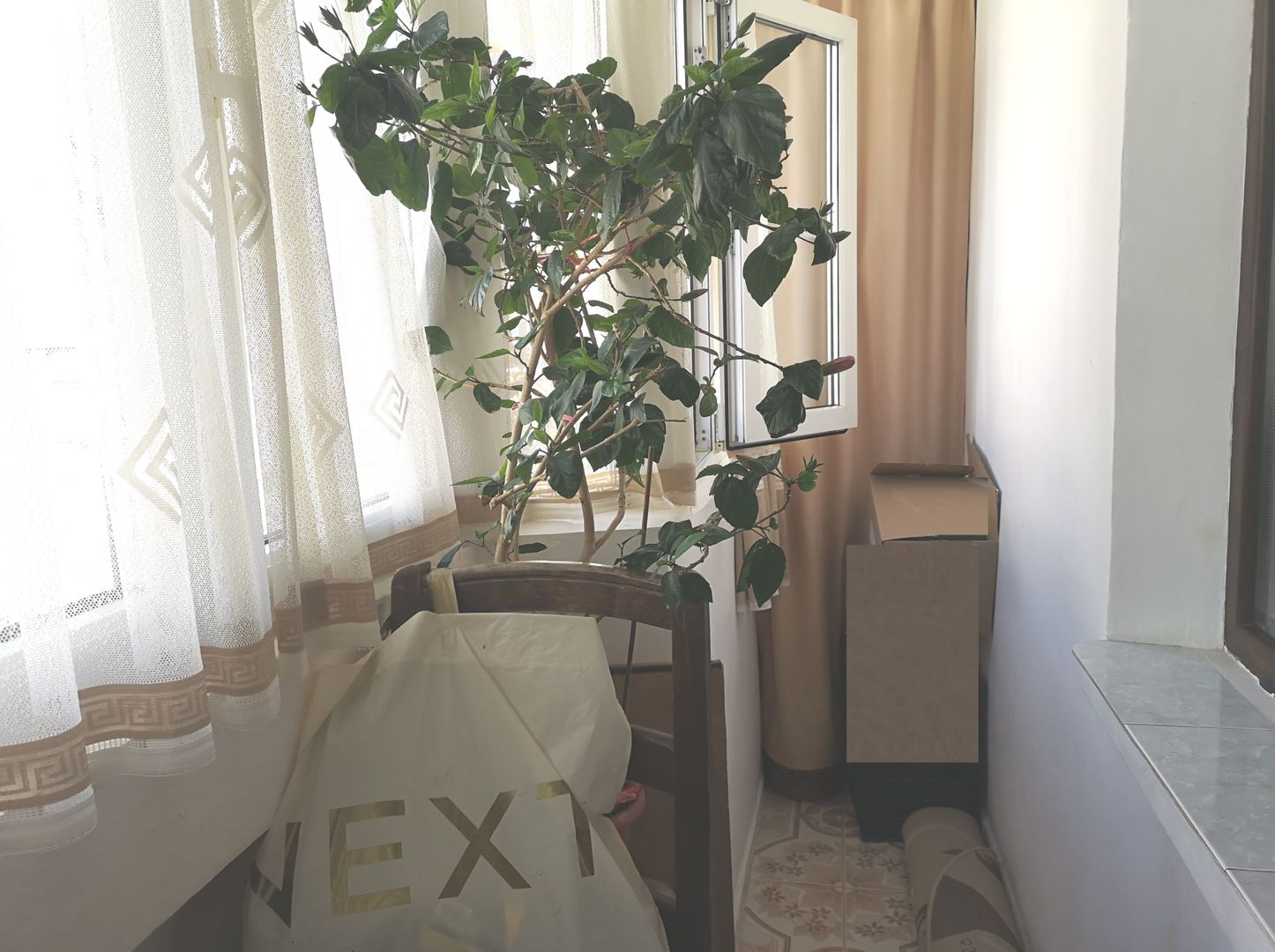 Apartament 3 camere renovat, etaj 5, bloc solid, zona Parc Sebastian - Poză 11