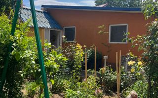 Vila S+P+1+M Lapus, str Paunitei - Poză 31