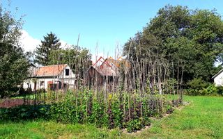 Casa 3 camere, teren 3625 mp, toate utilitatile, Sacele, Brasov - Poză 6