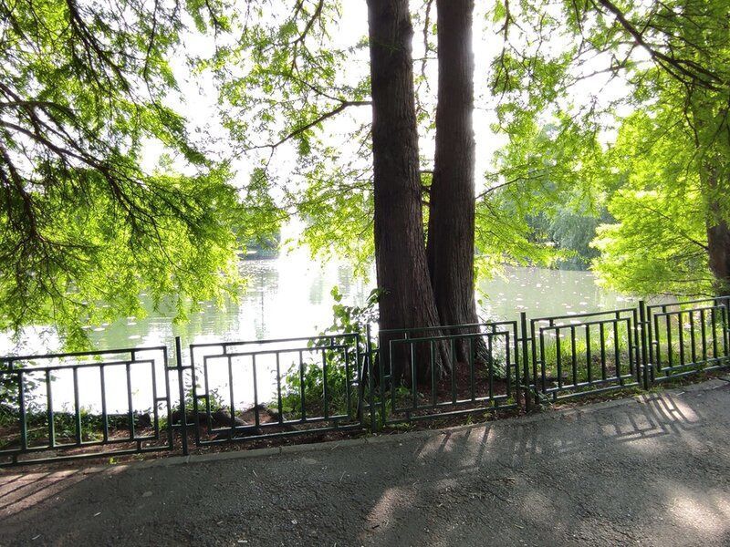 Lacul Tei Parcul Circului - Apt de inchiriat cu 2 camere - Poză 3