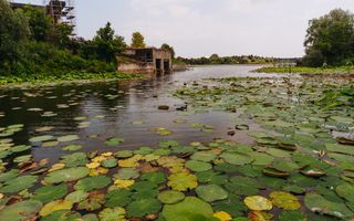 Casă cu piscină și ieșire la lacul Snagov - Poză 6