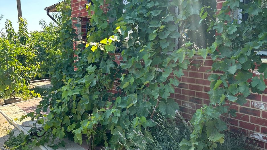 Vanzare vila rustica - 250 mp - Frumusani - Poză 2