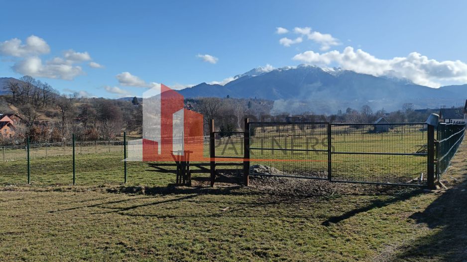 Teren 1.500 mp Sohodol – Bran Vedere Panoramică Bucegi - Poză 1