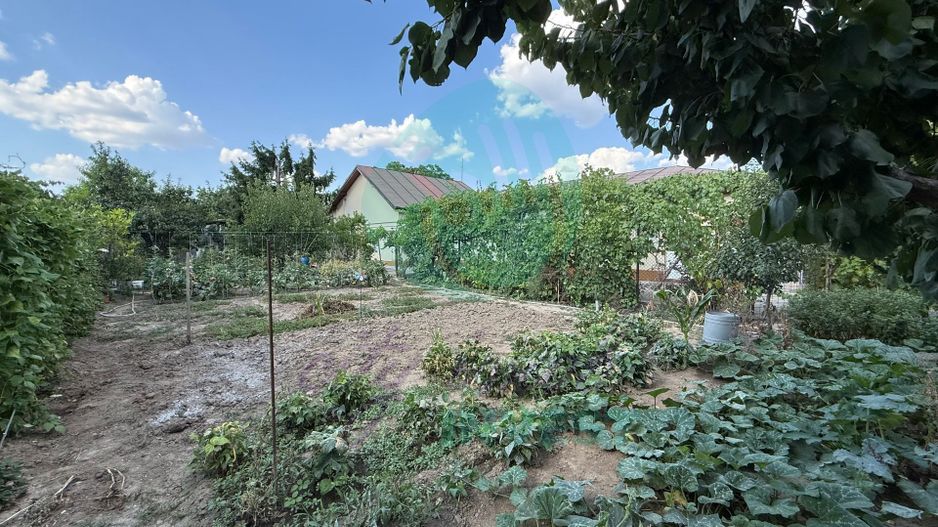 Casă parter + 1100 mp teren în Popești-Leordeni - Poză 12