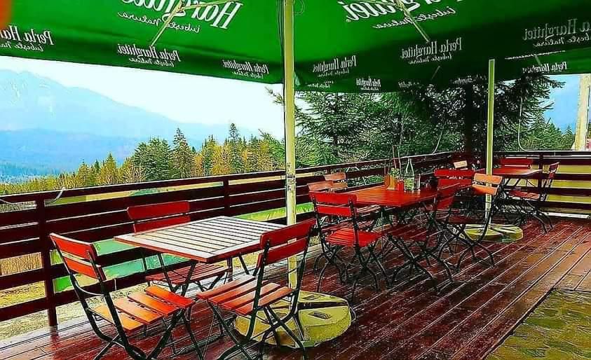 Aparthotel cu view superb Valea Prahovei - Poză 13