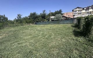 Teren intravilan de vanzare in Ciurea, judetul Iasi - Poză 3