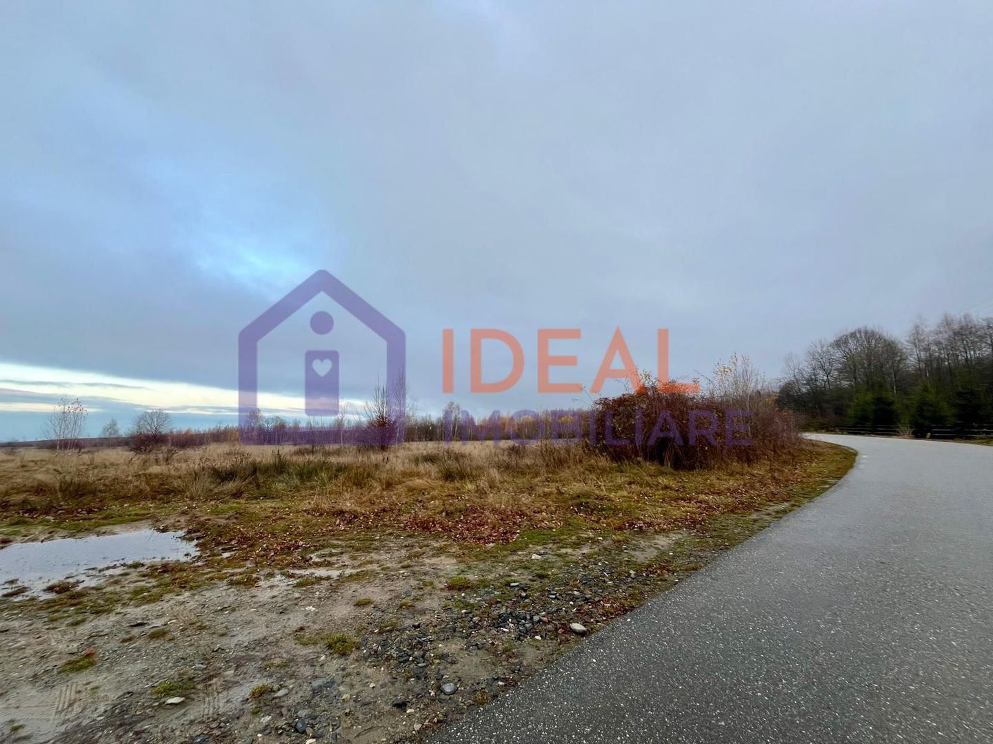 Teren extravilan 6.500 mp – două căi de acces, Cârțișoara - Poză 2