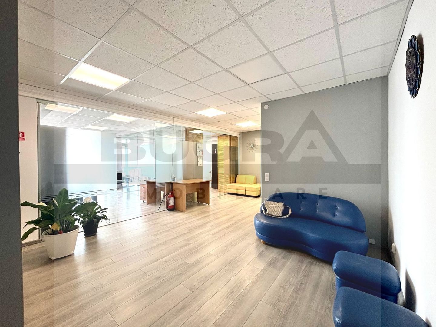 Birou 110 mp, 5 camere, parcare, zona Cal. Dorobantilor - Poză 2