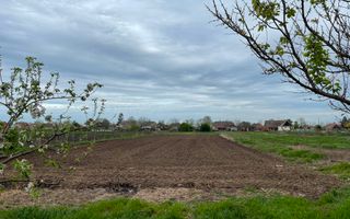 COMISION 0 | Casă cu teren 2.850 mp | Utilități trase | Tomnatic - Poză 4