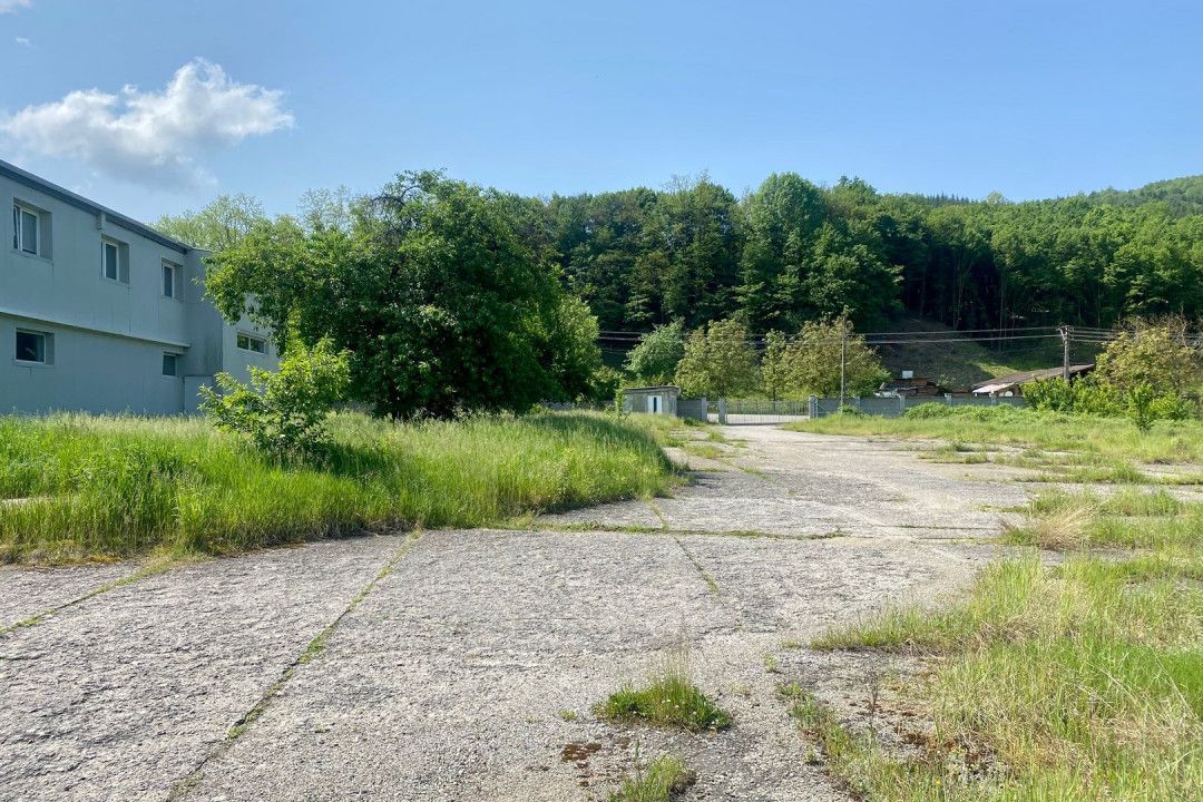 Hala de inchiriat in mun. Brad, disponibila imediat - Poză 3