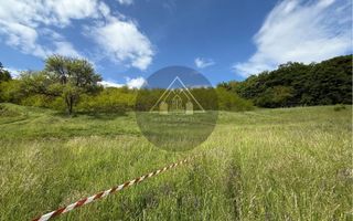 Teren de casa cu PUZ, Mosnei - Poză 7