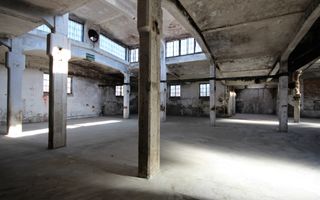 Complex industrial Periam - Poză 18