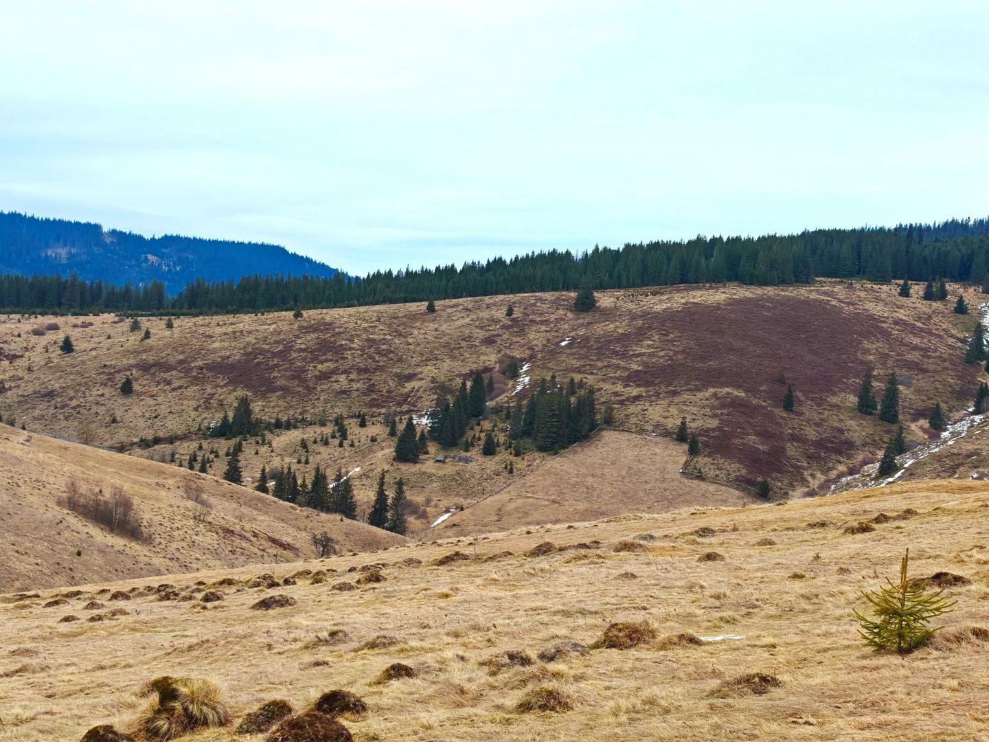 4663mp, in Statiunea Turistica Montana BELIS – FANTANELE, jud. Cluj - Poză 2