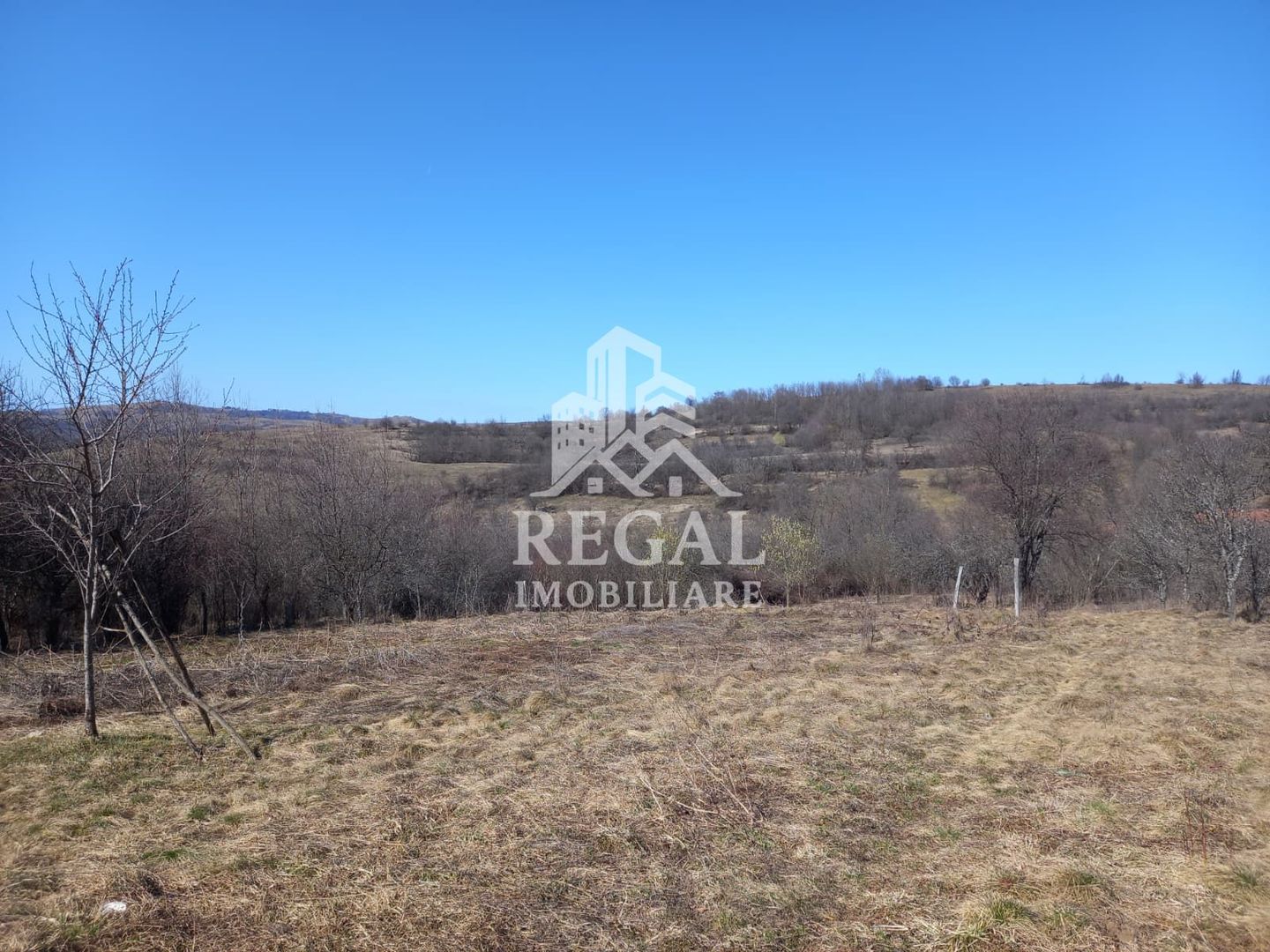 Două case de vânzare – Cerisor – teren generos 6996 mp - Poză 14