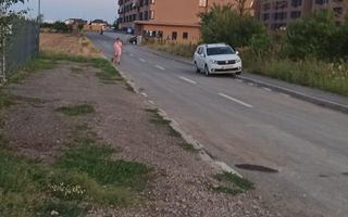 Teren Branesti - Strada Noua - Poză 2